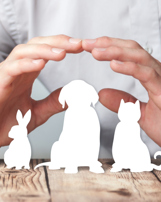 created by 'jköhler (Julina Köhler) (Julina Köhler)' on uploading a picture